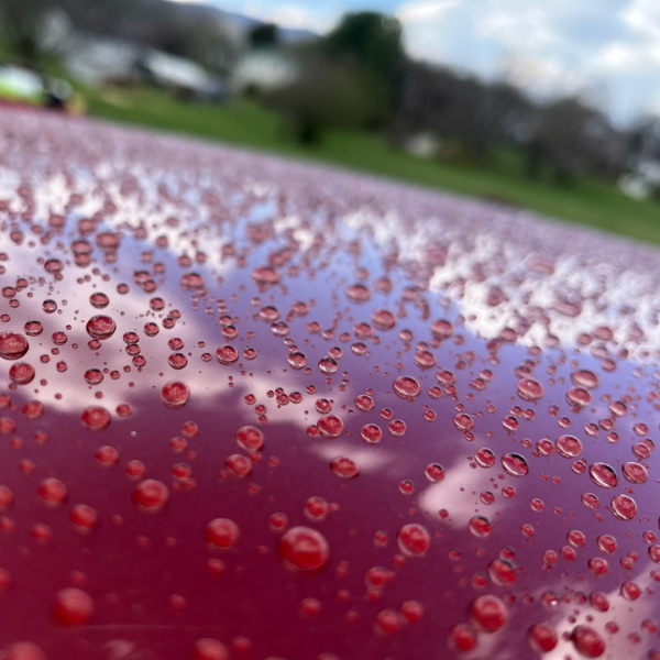 Water beads on a red vehicle that has been given an exterior showroom shine | Mystic AC Detailing